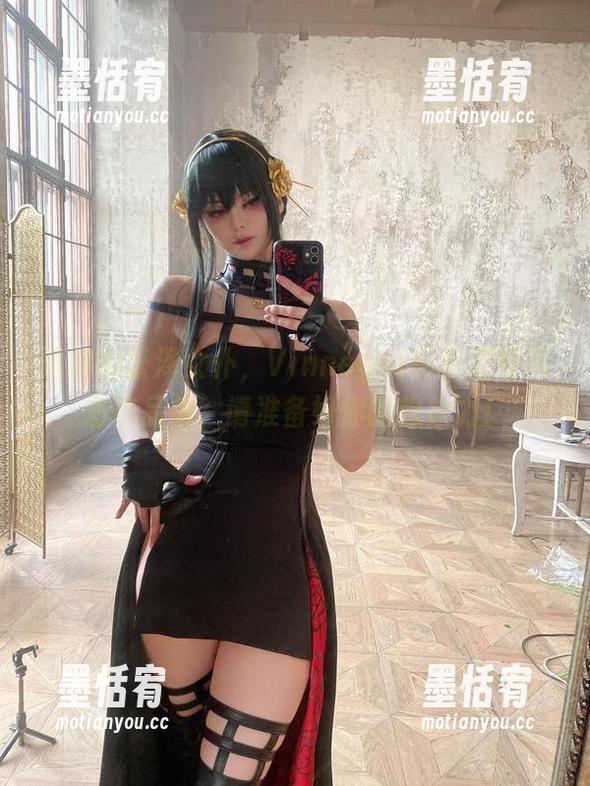隐秘的蕾泽女仆，Vinnegal已整理好高清作品集，请准备好你的想象力！