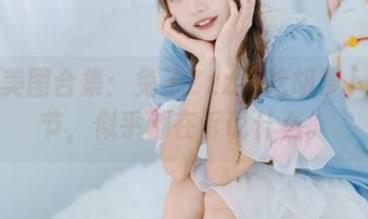 初冬美图合集：兔子Zzz不吃胡萝卜的季节，似乎都在诉说什么。