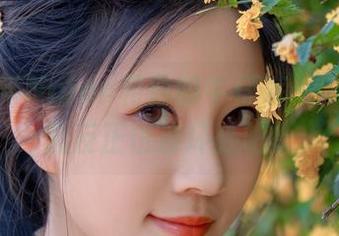 呃，年年Nnian和他的牛仔裤——免费资源反正也没坏处吧。